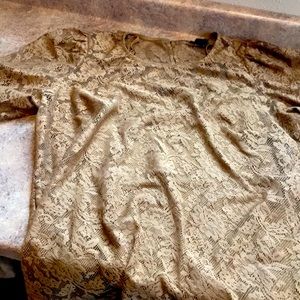 City chic lace two piece dressy top with cami